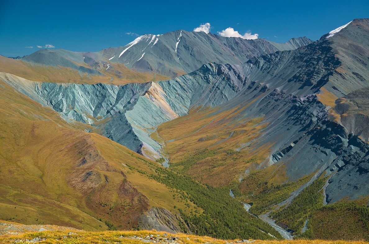 Горные козлы