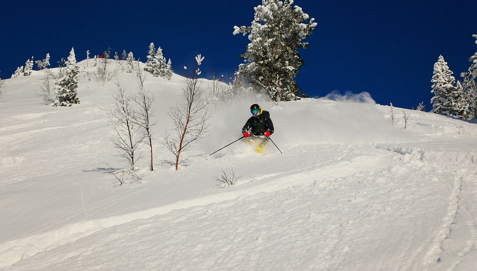 фрирайд Мамай