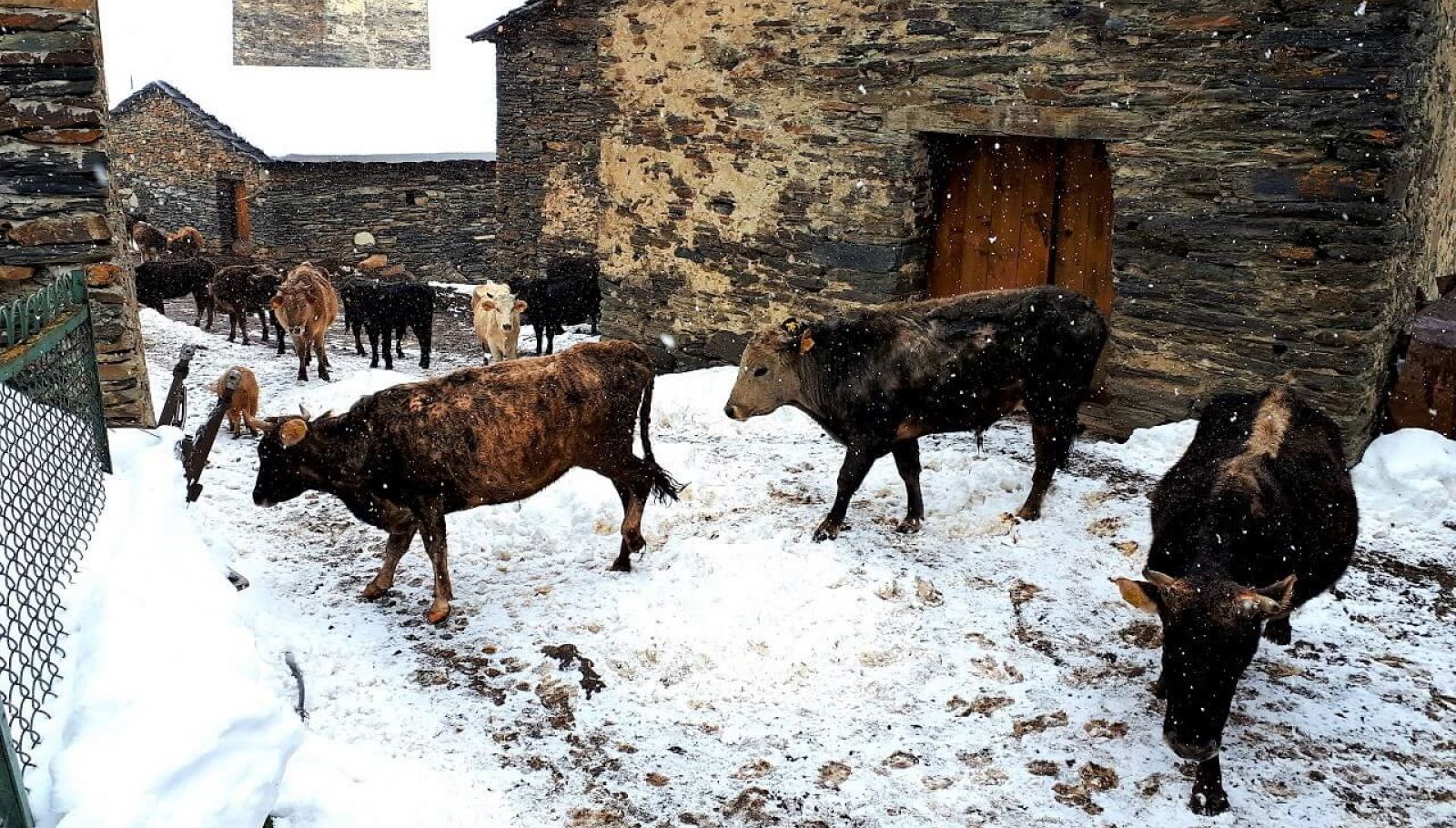 скитур с горным клубом